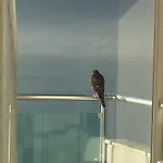 Szálloda Sovalye 3*