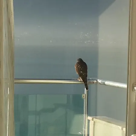 Hotell Sovalye 3*
