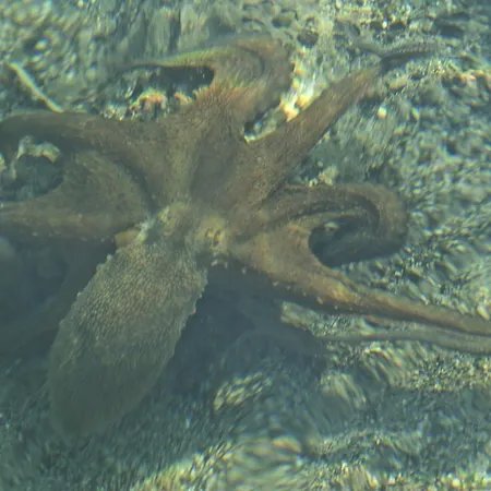 Sovalye Otel Fethiye